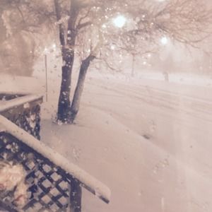 Meet your Posher, Tabitha